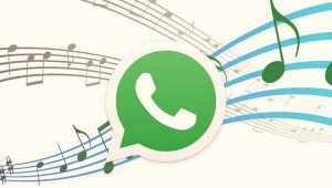 WhatsApp Extra Collaborations to Stop the Misuse 9