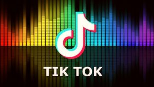 TikTok Suffers from a Design Malfunction 2